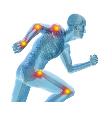 A ação Artrovex direcionada ao fortalecimento e melhoria da mobilidade das articulações